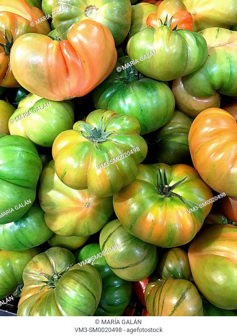 Green tomatoes in a fruit shop