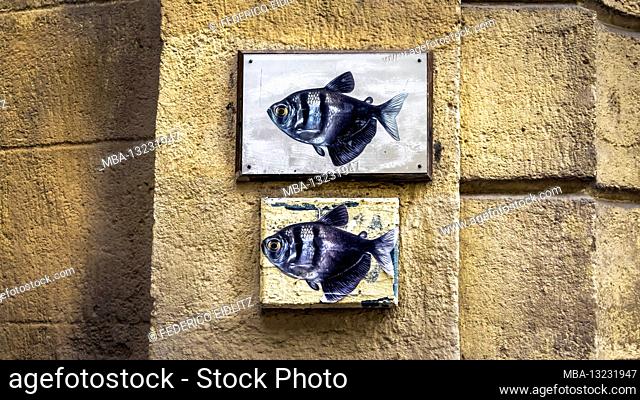 Graffiti of two fish in the old town of Montpellier