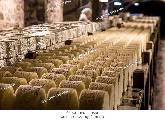 MATURING CELLAR FOR ROQUEFORT CHEESE, CAVE SOCIETE, LACTALIS GROUP, (12) AVEYRON, MIDI-PYRENEES, FRANCE