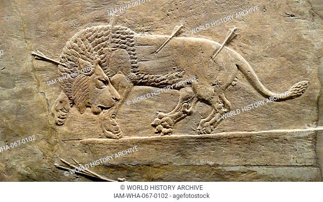 The royal lion hunt, Assyrian, about 645-635 BC From Nineveh. North Palace, Iraq. Lions are released from cages into the arena, one by one