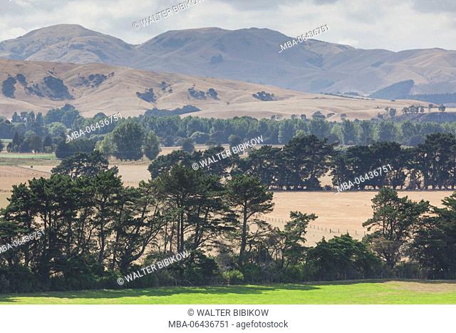 New Zealand, North Island, Martinborough, elevated landscape