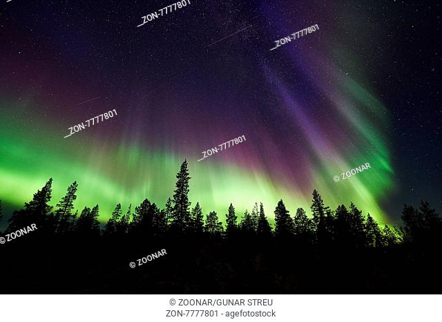 Nordlicht (Aurora borealis), Norrbotten, Lappland, Schweden, September 2015