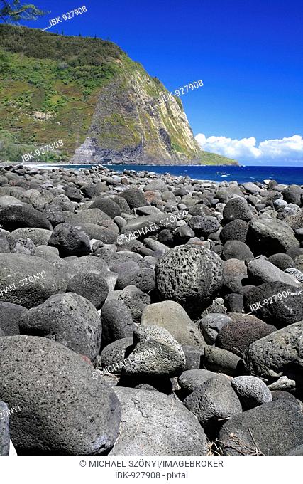 Cliff coast of the Waipi'o Valley, Big Island, Hawai'i, Hawaii, USA