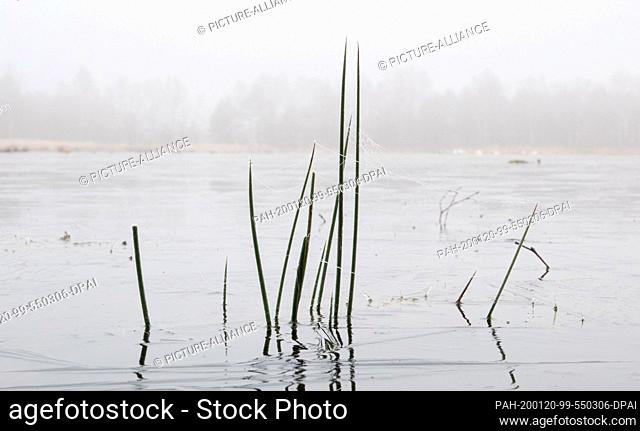 20 January 2020, Lower Saxony, Sassenburg: A fine layer of ice has formed on water surfaces in the Great Bog in the district of Gifhorn