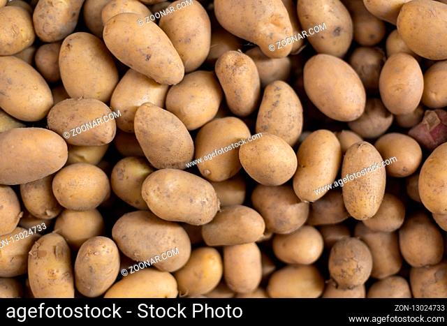 group of fresh potato