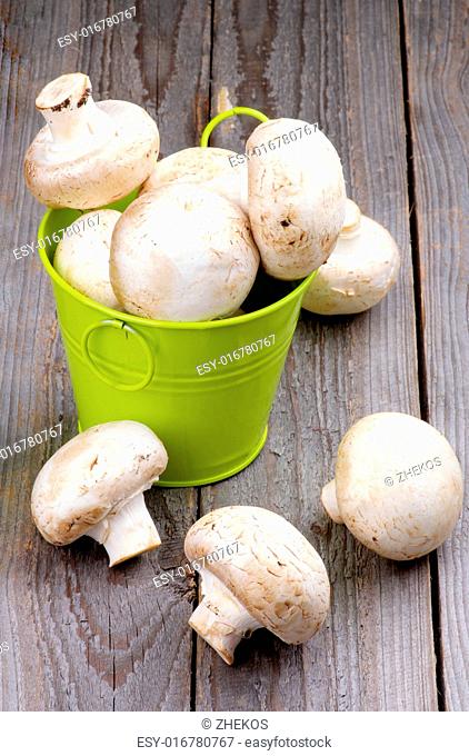 Big Raw Champignons in Green Bucket isolated on Rustic Wooden background
