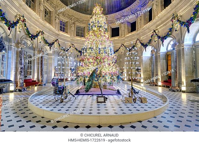 France, Seine et Marne, Maincy, castle of Vaux le Vicomte, the Oval room and its Christmas decorations