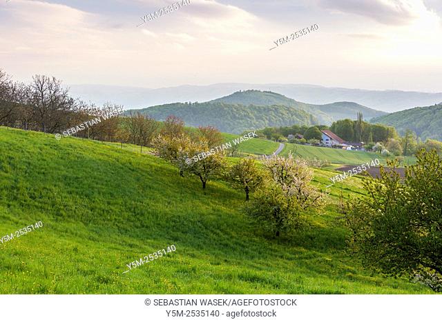 Landscape near Nusshof, Canton Basel-Landschaft, Switzerland