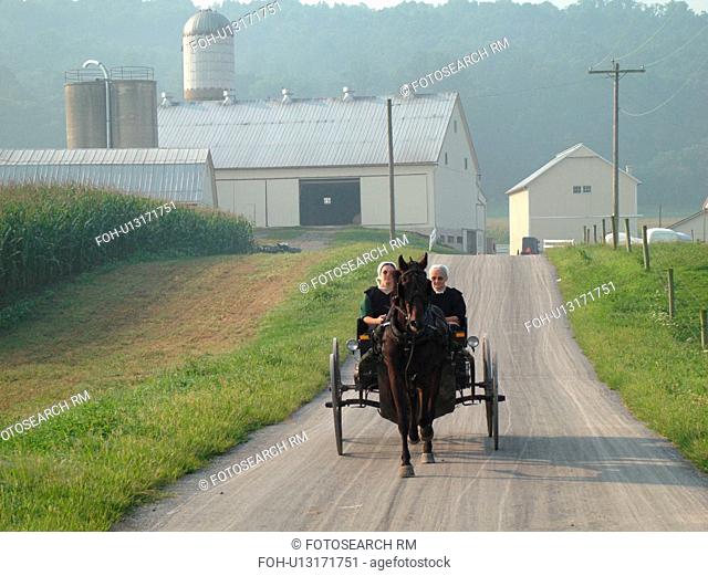 Lancaster County, PA, Pennsylvania, Amish, horse and buggy