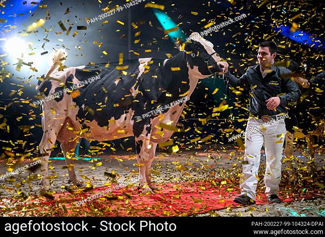 27 February 2020, Lower Saxony, Verden: Winning cow Fux Seattle and demonstrator Max Montplaiser are in the confetti rain at the cattle breeding exhibition...