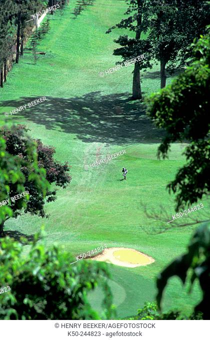 Golf player going home, St Andrew's Golf Club, located in the hills to the north of Port of Spain. Trinidad. West Indies