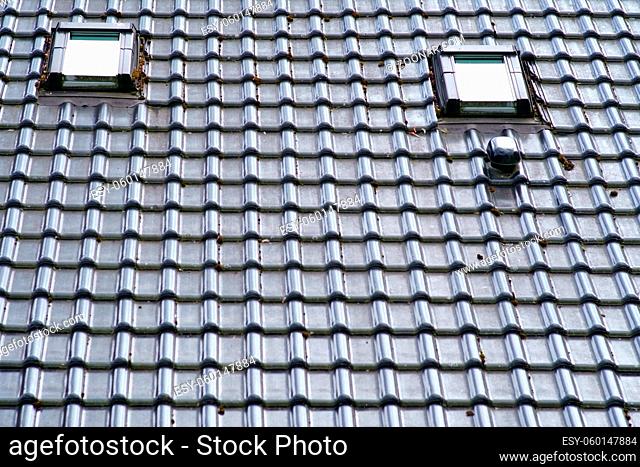 Ein Schindeldach mit zwei Dachfenstern und Entlüftungshauben