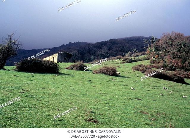 Conca del Fanuso (Fanuso Valley), Bosco della Ficuzza, Rocca Busambra, Bosco del Cappelliere and Gorgo del Drago Nature Reserve, Sicily, Italy