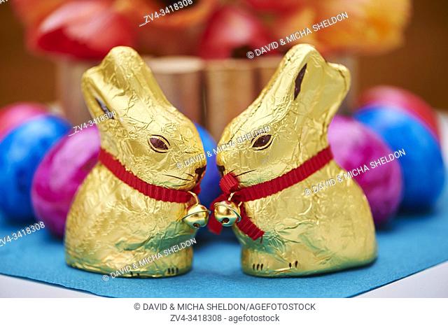 Decoration with colourful eggs and golden chocolate bunnies for easter, Germany