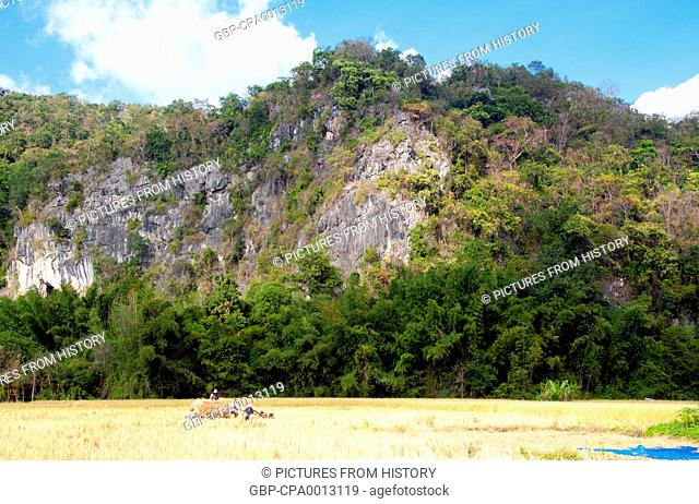 Thailand: Agricultural worker beneath the outcrops of Kuan Pha Lom National Park, Loei Province