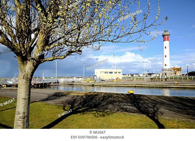 Lighthouse and tree in the foreground at Ouistreham in the Calvados department in the Basse-Normandie region in northwestern France