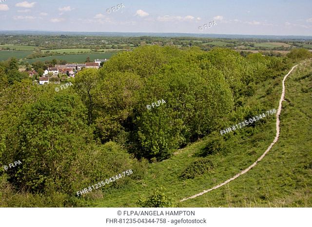 View over trees towards village and farmland from chalk escarpment, Fulking, South Downs, West Sussex, England, June