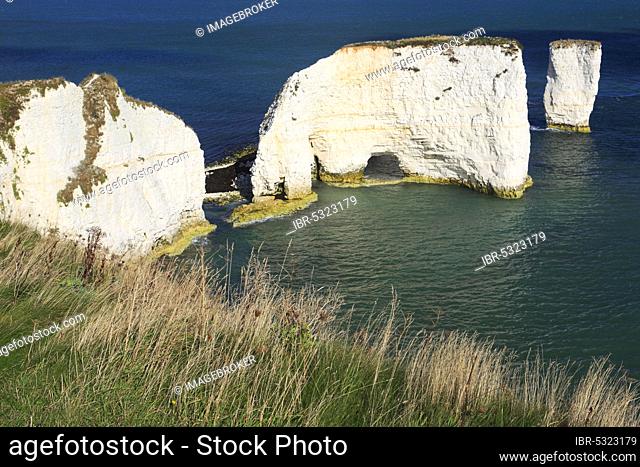 Old Harry Rocks, Swanage Bay, chalk cliff coast, Bournemouth, Jurassic Coast World Heritage Site, Dorset, England, United Kingdom, Europe