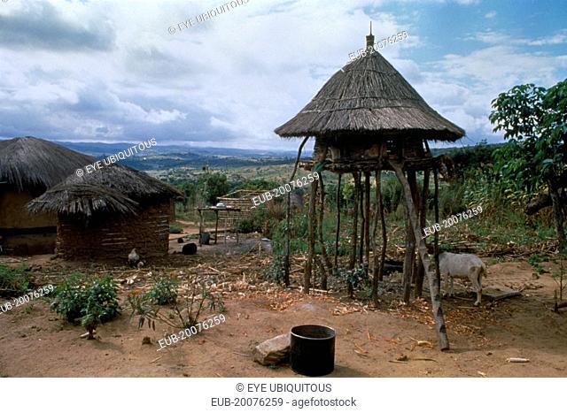 EDETA village income generation group. Circular thatched chicken house raised on stilts in village