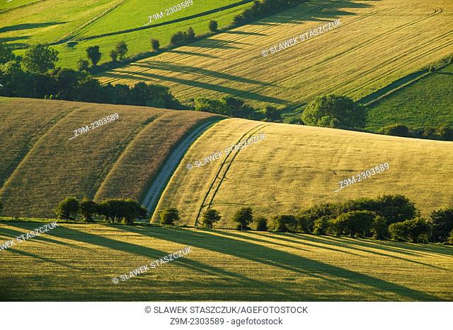Summer evening in South Downs National Park, East Sussex, England