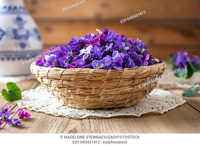 Wood violet flowers in a basket on a table
