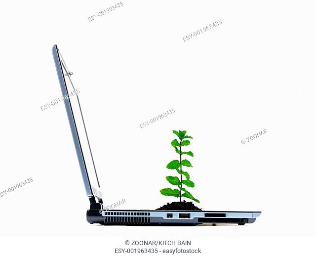 A laptop computer with a seedling isolated against a white background