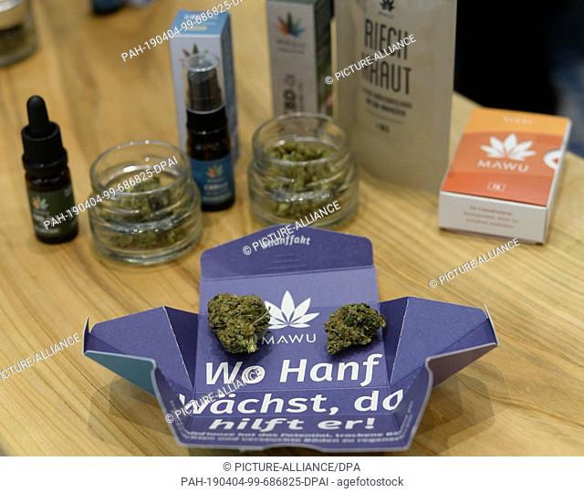 02 April 2019, Berlin: At the International Cannabis Business Conference ICBC, dried hemp buds are lying on a packaging with the inscription ""Where hemp grows