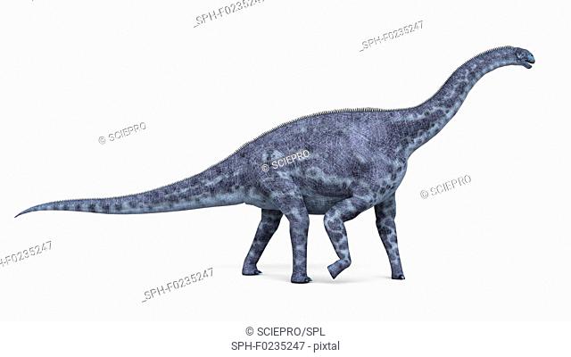 Illustration of a cetiosaurus