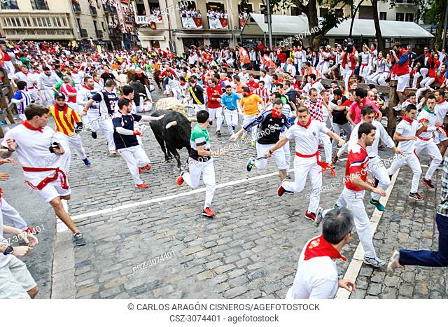 PAMPLONA, SPAIN - JULY 11, 2017: Bulls and people running on the street, encierro, during the festival of San Fermin. Bulls of the cattle ranch of Jandilla in...