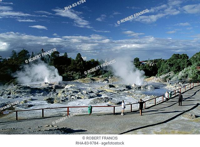 Erupting geysers and mineral terraces, Whakarewarewa thermal area, Rotorua, South Auckland, North Island, New Zealand, Pacific