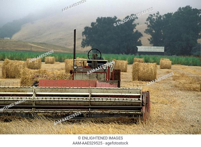 Tractor and rolled hay bale rolls in plowed cut field farm pasture, near Cambria, San Luis Obispo County, California