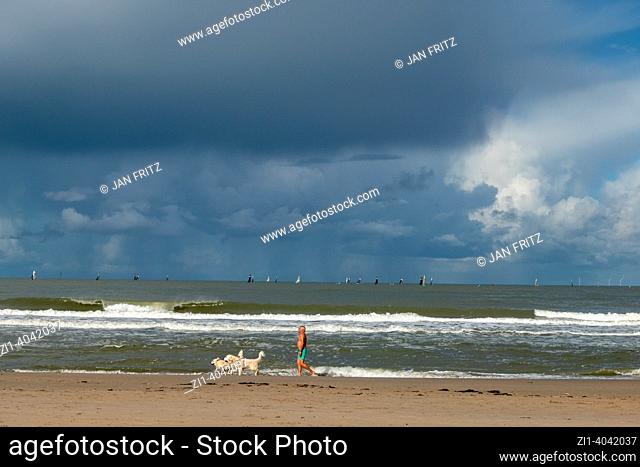 man with two dogs at the beach and dark clouds above sea in Holland