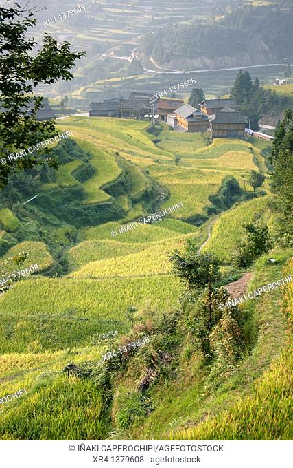 Terraces and rice paddies, Tang an Dong Village, Tang an, Guizhou, China