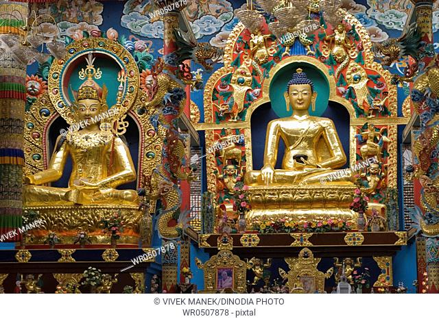 Golden Buddha statues in Namdroling monastery Palyul Nyingmapa Buddhist Centre Byalakuppe , Mysore District , Karnataka , India