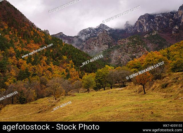 Gréixer Valley, in autumn, at the Moixeró foothill (BerguedÃ , Catalonia, Spain, Pyrenees)