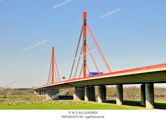 bridge over the Rhine of the motorway A42 Emscherschnellweg between Duisburg and Moers, Germany, North Rhine-Westphalia