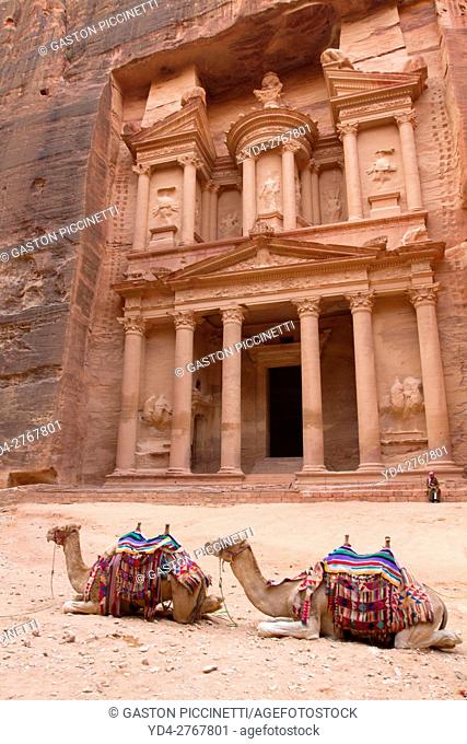 Camels in The Treasury (Al Khazna), Petra Archaeological Park, Jordan