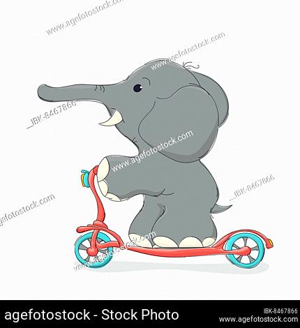 Elphant riding a scooter, vector cartoon character over white background