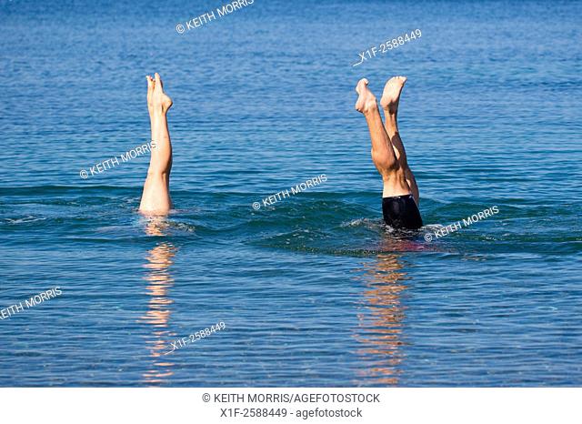 Aberystwyth Wales UK, Tuesday September 08 2015. . UK Weather: People enjoy the early autumn sunshine swimming and doing handstands in the flat calm sea at...