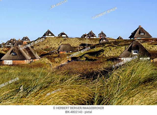 Typical Frisian houses with thatched roofs in the dunes of Hörnum, Sylt, Nordfriesland, Schleswig-Holstein, Germany