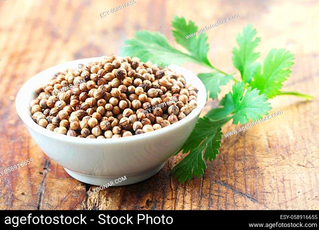 Coriander Seeds In A Small White Bowl