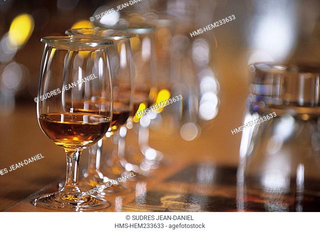 United Kingdom, Scotland, Moray, Speyside, Strathspey, Dufftown, The Glenlivet distillery, single malt whiskey tasting, glasses