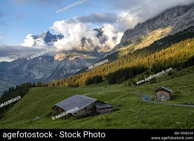 Evening mood, mountain huts, alpine pasture, Pfingstegg, behind the summit of the Wetterhorn, Jungfrau region, Grindelwald, Bern, Switzerland, Europe