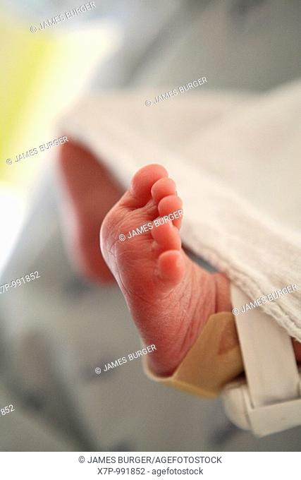 a newborn foot