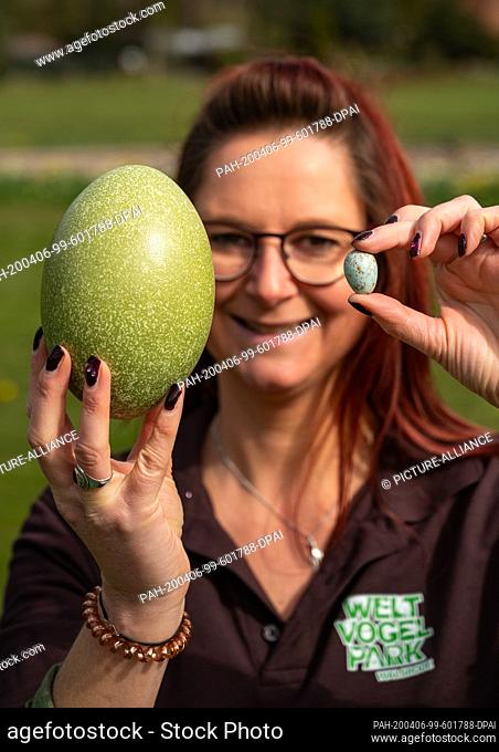 02 April 2020, Lower Saxony, Walsrode: Stefanie Alonso Malo, assistant to the veterinarian at Weltvogelpark Walsrode, holds an egg from the red-necked cassowary...
