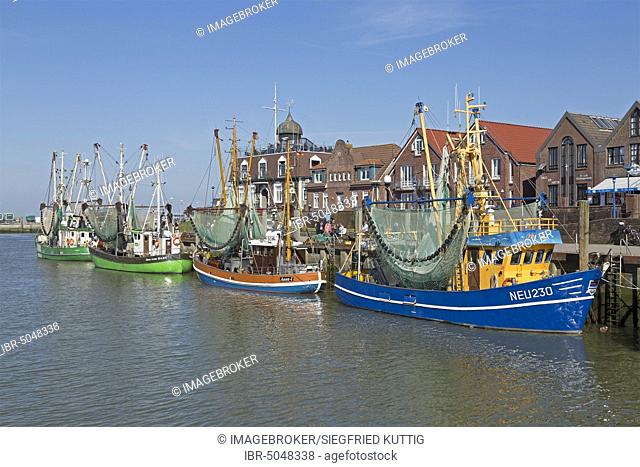 Colourful shrimp boats in the fishing port, Neuharlingersiel, East Frisia, Niedersachsen, Germany, Europe