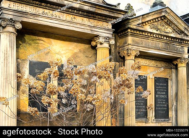 Berlin, Jewish cemetery Berlin Weissensee, largest surviving Jewish cemetery in Europe, withered hydrangeas