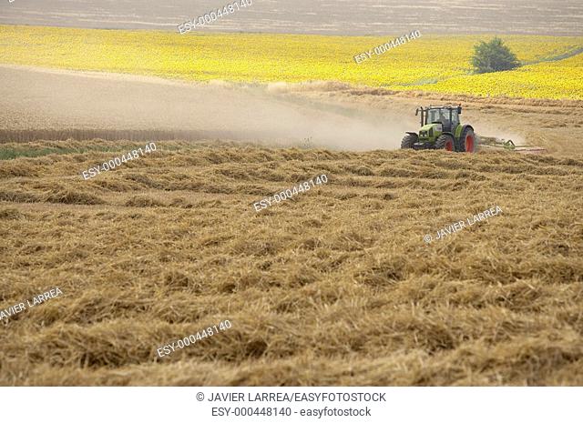 Windrower, grain fields, Finca Learza, near Estella. Navarre, Spain