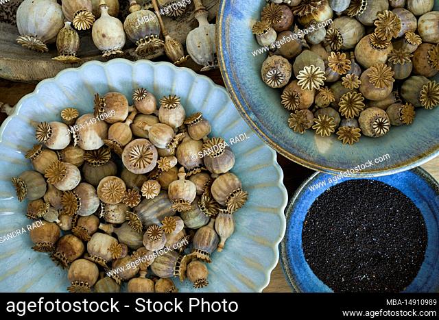 dried poppy capsules and seeds in blue earthenware bowls, close-up, top view