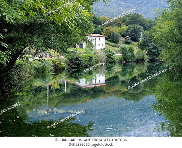 Ason river. Ramales de la Victoria. Cantabria. Spain. Europe